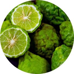 Bergamote