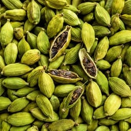 Cardamome verte